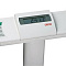 весы медицинские seca 703 с ростомером seca 220 фото