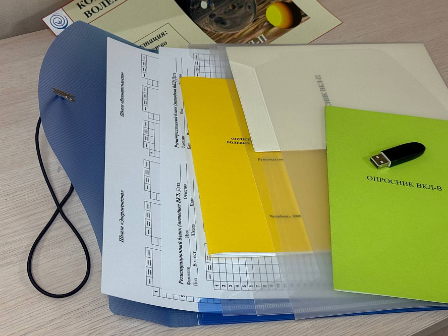 вкл — комплект для диагностики волевых качеств личности фото