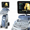 узи аппарат voluson p8 ge healthcare, сша фото